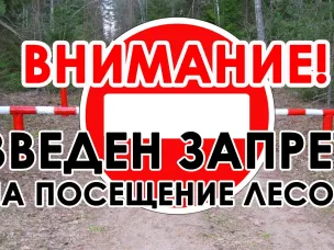 Установлен запрет на посещение лесов!